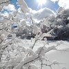 冬晴れの雪景色