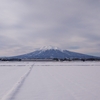 今日のお山