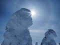 【雪山登山】西吾妻山のスノーモンスターの無事を確認しにすっ飛んでいった話（スキーバス利用）