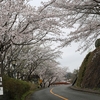 常陸国出雲大社の春・・