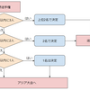 パリオリンピックの代表選考の図式化