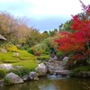 京都妙心寺の塔頭・退蔵院に所用のついでに特急観光したスマホ写真