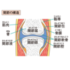 関節調整に出会う