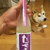 10月の三連休、まずは三島のハンバーグ「田中亭」さんと箱根へ。