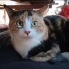 猫兎猫ちゃんねる-にゃんとにゃん-nyan to nyan-　その51