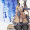 アニメ『青春ブタ野郎はバニーガール先輩の夢を見ない』の紹介をしたいと思います！