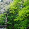 天武天皇の御製歌･･･巻第1-27