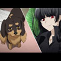 犬も歩けば棒に当たるとは 一般の人気 最新記事を集めました はてな