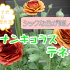 オススメ植物～2月23日！ラナンキュラス　テネラ♪　育て方＆管理方法も♪