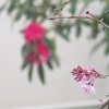 ぼちぼちと～