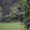 曇りのち雨