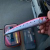１８キロオーバーのデカマサ捕獲！！