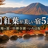 【日光】紅葉が美しい宿5選｜湯ノ湖・戦場ヶ原・中禅寺湖・いろは坂を見頃順にめぐる