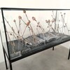 ファーガス・マカフリーのアンゼルム・キーファー展を見る