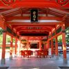 香椎宮、九月、綾杉　2025/09