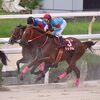 ここでジンギ越えを果たして欲しかったも、返し馬から気難しさを覗かせて集中力を欠いていた様子。２週目半ばから早めに捲っていくことは出来たも、直線でもう１段ギアが上がらず４着。前を捉え切れなかったことよりも、ラッキードリームにあっさり差されたのがショック。今回の再戦となりそうな園田金杯でリベンジして欲しい。★シェダル