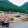 春風