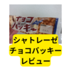 シャトレーゼのアイス「チョコバッキー」の感想は？