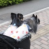 何もかも高くなってる！