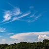 24日の・夏雲