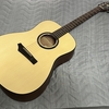 Gopherwood Guitars i100 を買ってみた