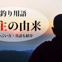 イカ タコ カニの数え方 単位の意味や由来 英語での数え方など 釣りの人 イカ タコ カニの数え方 単位の意味や由来 英語での数え方など 釣りの人