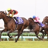 競馬初心者必見☆馬券予想🔥〜スプリンターズS〜今年は2強対決で決まるか！？〜