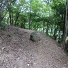 大野山のハイク（その１）登山道登り