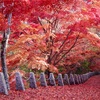 桜で有名な吉野の紅葉