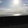 戻りカレイ好調の兆し☆彡福浦