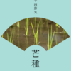芒種（ぼうしゅ）