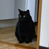 疲れからくるイライラ