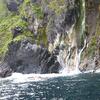 北海道の旅 2008/夏 (18) 「海洋環境・生態系の保全と持続的漁業、ならびに観光開発の間の妥協点を探る（長いぞ」