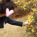 そうだ、そうしよう
