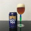 黄桜　LUCKY DOG  ラッキー・ドッグ　を飲んでみた