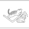 猫にかかれば
