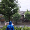 大雨の中、全員出席。すごい！！ そして。