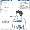 痛風対策