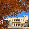 休業OLの紅葉通信【東京都庭園美術館】美術館でモミジ観賞