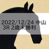 2022/12/24 中山競馬 3R 2歳未勝利
