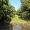 野山北・六道山公園（東京都武蔵村山市）