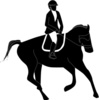 【追い切り注目馬】【ベテルギウスS】【カウントダウンS】【フォーチュンカップ】他　2024/12/28(土) 京都競馬　本気の1週前