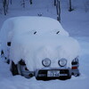 　雪中の珍獣「マナティ！」