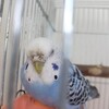 ちょびちゃんの謎行動