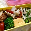 ヨメさん弁当～青椒肉絲・鶏肉塩焼き・だし巻き～