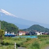 富士山の四季