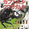 畑仕事とカブトムシの土替え