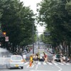 幕張のドライバーは心優しいのか・放送大学前の横断歩道は車がよく止まってくれる。