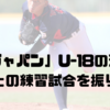 「侍ジャパン」U-18の進化！早大との練習試合を振り返る