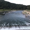 長良川郡上釣行 お盆
